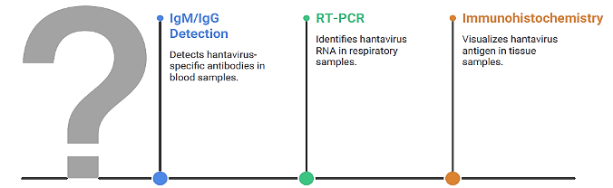 Hantavirus_Fig3